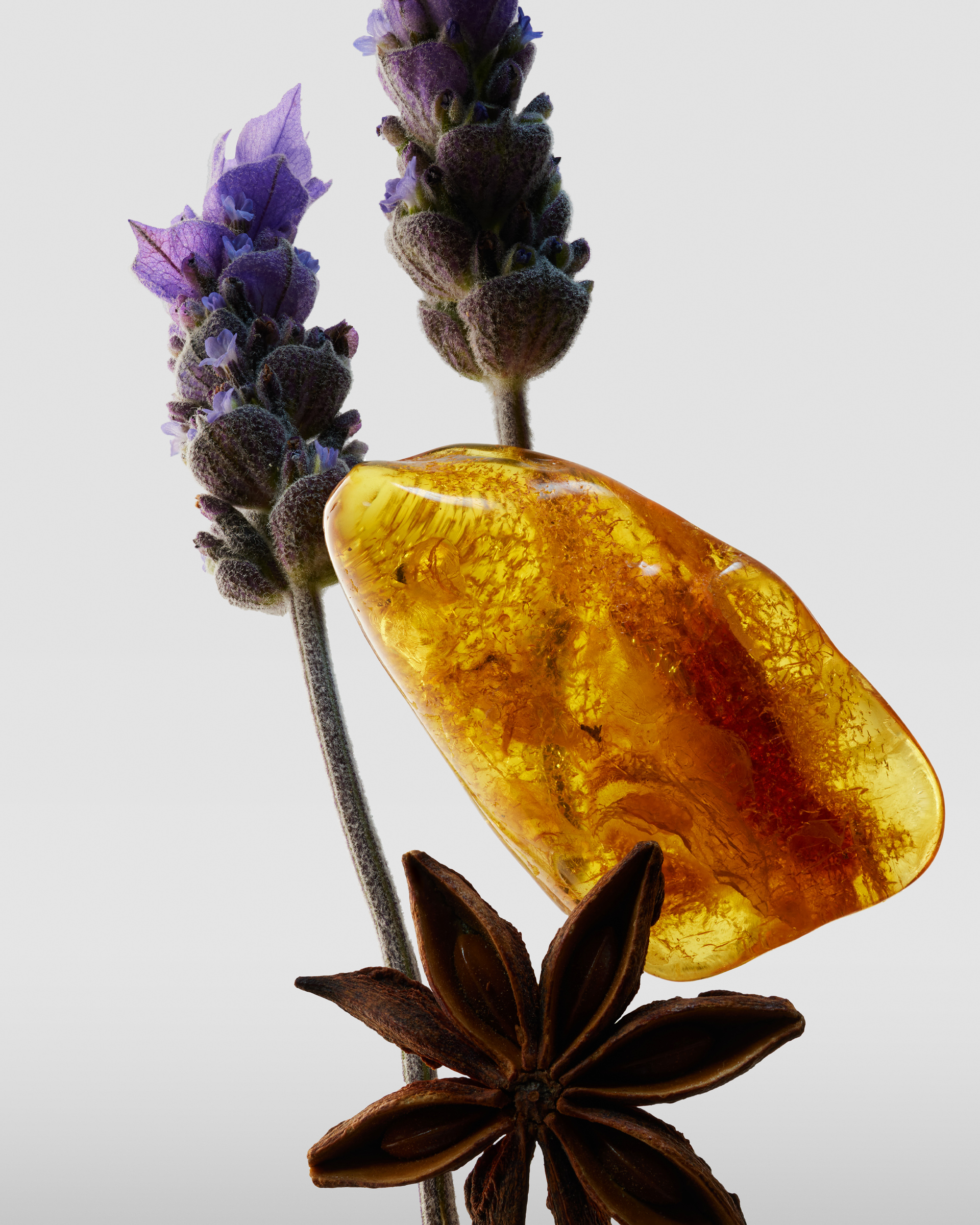 Santa-Eulialia-Perfumes-Obscuro-Ingredients-home